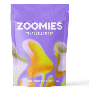 Texas Yellow Cap | Magic Mushrooms Online Canada