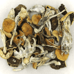Full Moon Party | Magic Mushrooms Online Canada