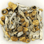 Orissa | Magic Mushrooms Online Canada