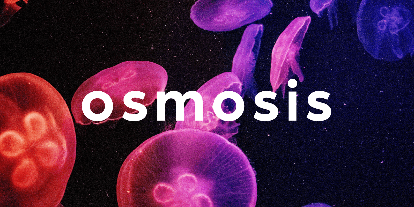 Zoomies osmosis banner | Magic Mushrooms Online Canada