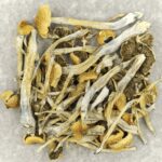 Trinity | Magic Mushrooms Online Canada