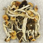 Cuban | Magic Mushrooms Online Canada