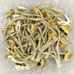 Hautla | Magic Mushrooms Online Canada