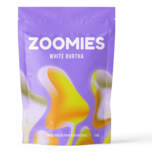White Burtha | Magic Mushrooms Online Canada