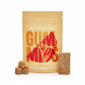 Euphoria Psychedelics – Orange Gummy 1000mg | Magic Mushrooms Online Canada