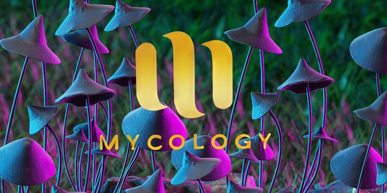 Zoomies Summer 2023 Banner - Mycology | Magic Mushrooms Online Canada