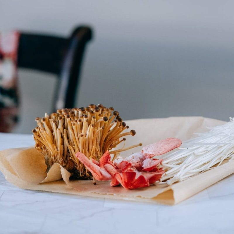 Buy Shrooms Online Canada (1) | Magic Mushrooms Online Canada