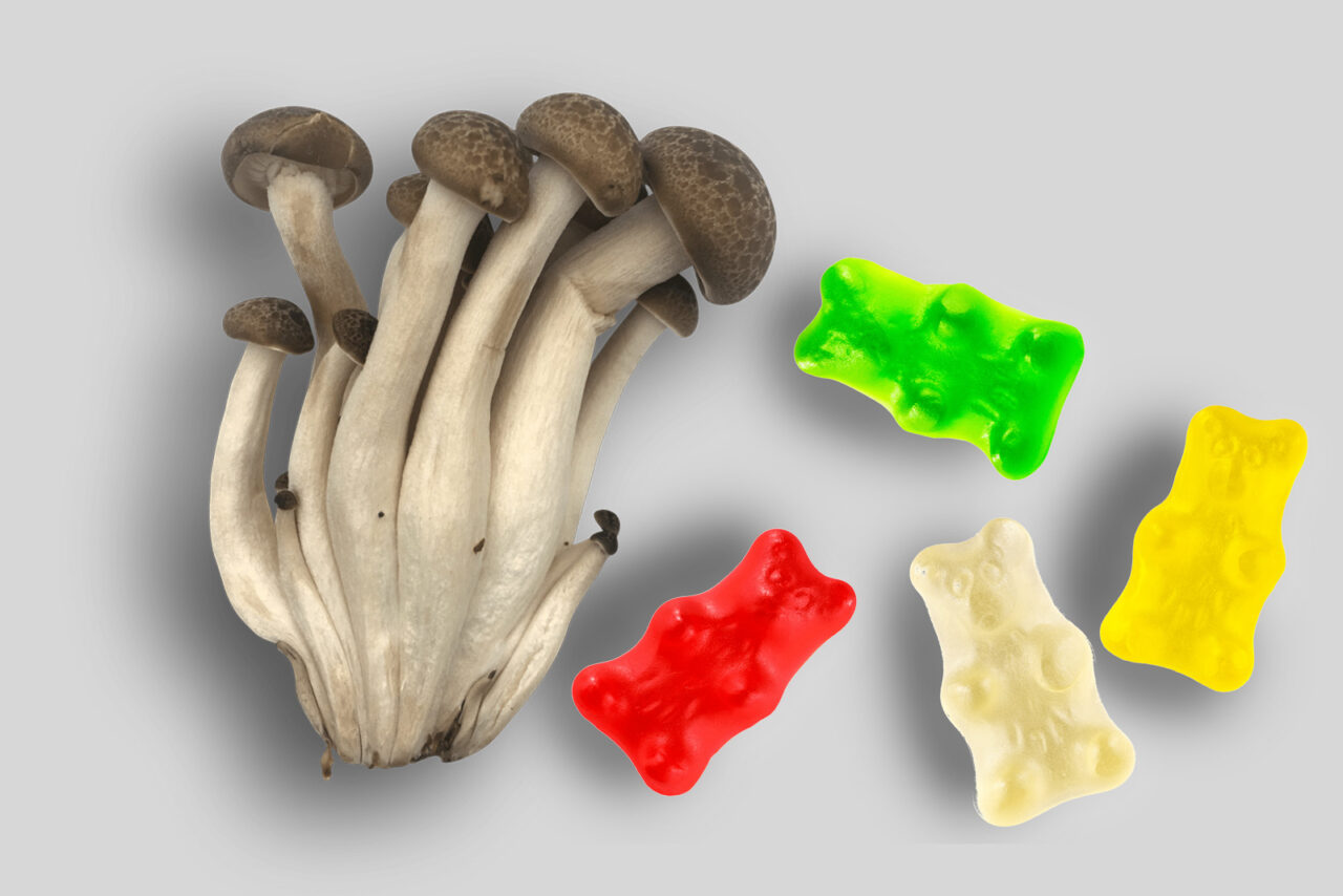 Top LSD edibles in Canada Edibles that contain LSD